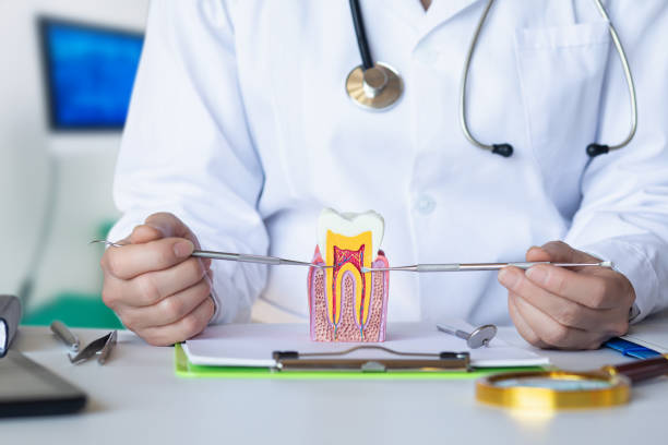 Best Affordable Emergency Dental Care  in Burke Centre, VA